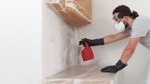 Professional Mold Inspection And Testing technician working in Millington, MI